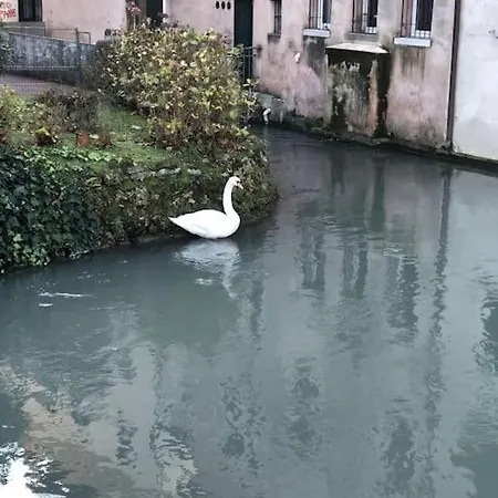 Centro Historico - Via Santa Caterina, Treviso, Italy * Treviso